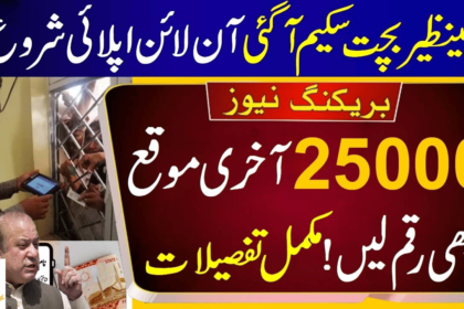 How To Apply Online for the BISP Bachat Scheme?: Get 40% Extra