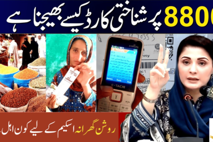 How to Use 8800 SMS Code For Roshan Gharana Scheme?