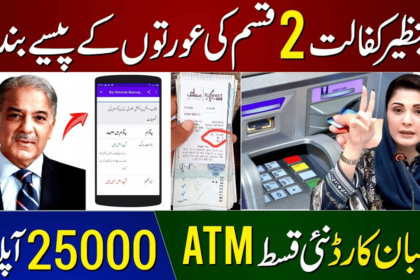 Ehsaas Kafaalat 25000 Survey Registration for June