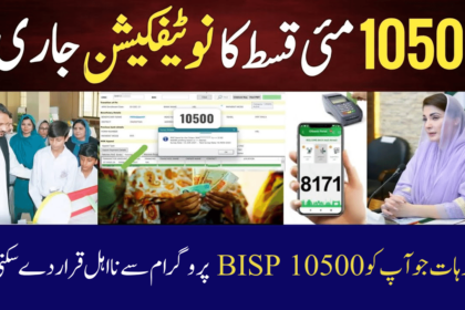 All Reasons That Could Disqualify You from BISP 10500 Program