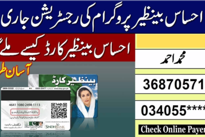 How to Get a 10500 BISP Card in May?