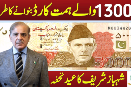 3 Kinds of Cards Details for 13000 Cash in Sindh