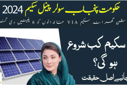 6 Plates Given to Families VIA Roshan Gharana Scheme