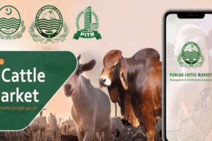 What is the 1233 E-Cattle Market App?