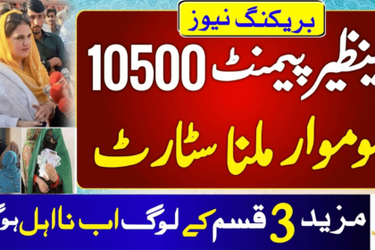 Prevent Ehsaas Program 10500 Payment From Being Stopped
