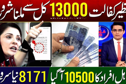 Stay Eligible: Update Your B-Forms and Complete the Ehsaas Dynamic Survey