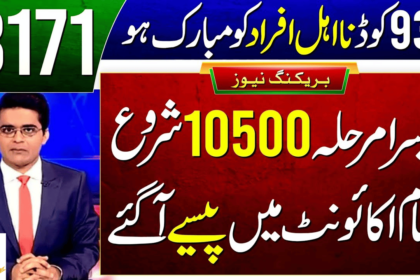 Solution for 938 Error for Ehsaas 10500 Payments