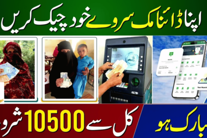 Avoid Disqualification: Ehsaas Program Requires Updated Dynamic Surveys