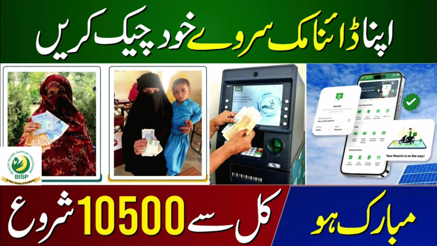 Avoid Disqualification: Ehsaas Program Requires Updated Dynamic Surveys