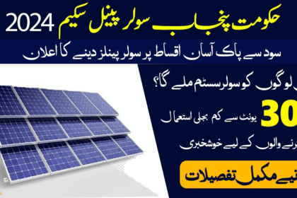 When will the Free Solar Panel Scheme Start in Punjab?