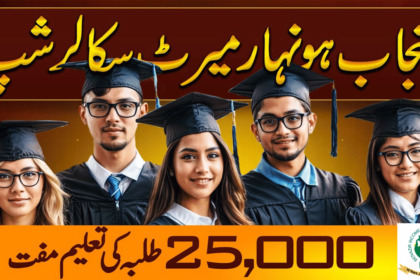 Punjab Increases Scholarships to 25000 for Deserving Students