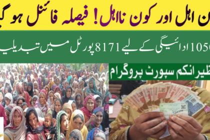 Unlocking the 2024 Changes in the 8171 Portal for 10500 Payment