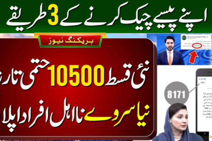 3 Ways to Check Benazir Kafalat Payment in August