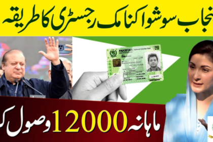 PSER 12000 Online Registration Process For August